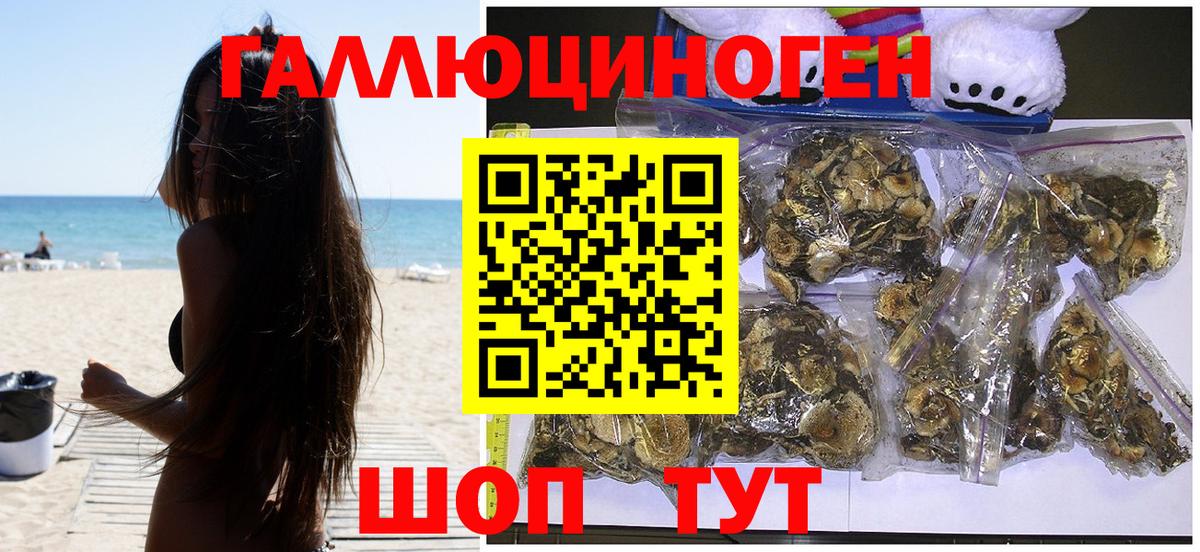 Галлюциногенные грибы Cubensis  Вход с VPN  Кингисепп 