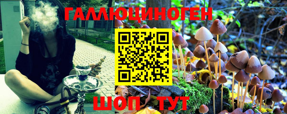 Галлюциногенные грибы ЛСД Кингисепп